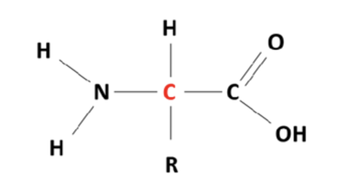 <p>Label the different groups </p>