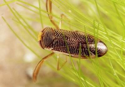 <img src="https://knowt-user-attachments.s3.amazonaws.com/14a75905-dfa9-42de-92e2-0042dcdc0947.jpg" data-width="100%" data-align="center"><img src="https://knowt-user-attachments.s3.amazonaws.com/046a8a9e-7474-4afb-b12d-040365936852.jpg" data-width="100%" data-align="center"><p></p>