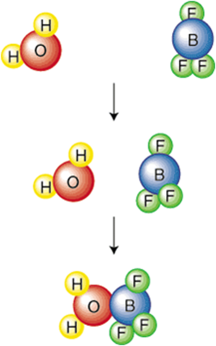 <p>States that atoms, ions, and molecules must collide in order to react</p>