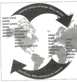 <p><span><span>American crops were introduced to Europe through the Columbian Exchange and left a lasting impact on European cuisine. Europeans explorers brought maize, potatoes, tomatoes, beans, peppers, and corn back to Europe, which quickly gained popularity. Potatoes were extremely popular in Europe, and many think that potatoes are native to Ireland. The arrival of these crops stimulated tremendous population growth in Europe during the 16th and 17th centuries. New foods such as meats were introduced to the Americas, along with horses. However, thousands of Americans died due to disease brought by the Europeans.&nbsp;</span></span></p>