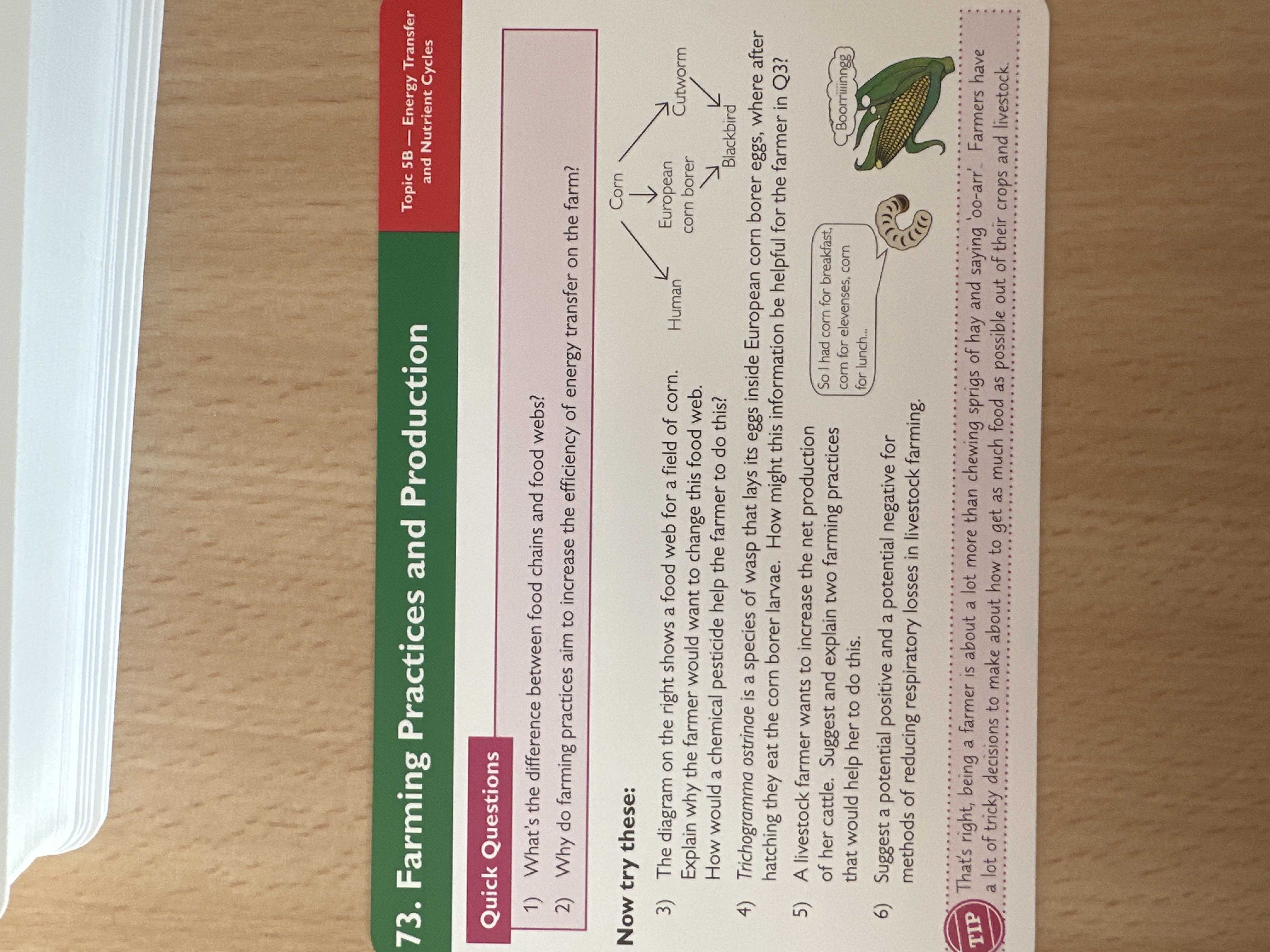 Farming practices and production