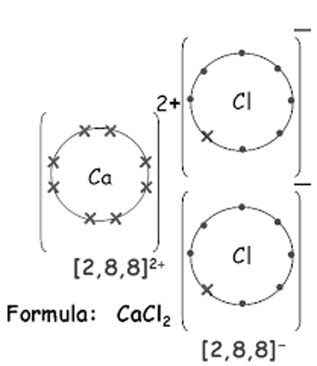 knowt flashcard image