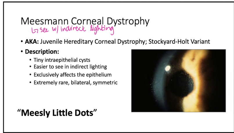<p>tiny intraepi cycts</p><p>"meesly lil dots"</p>