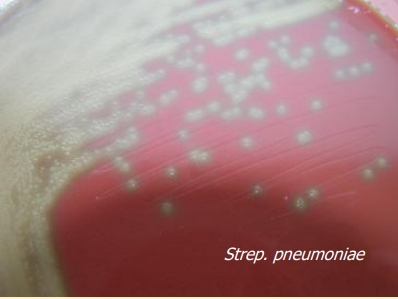 <p>What does this image show?</p>