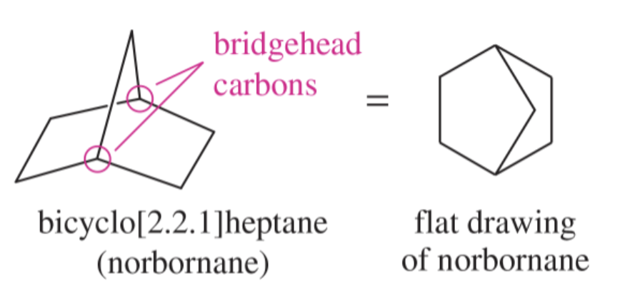 <p>bridgehead carbons</p>