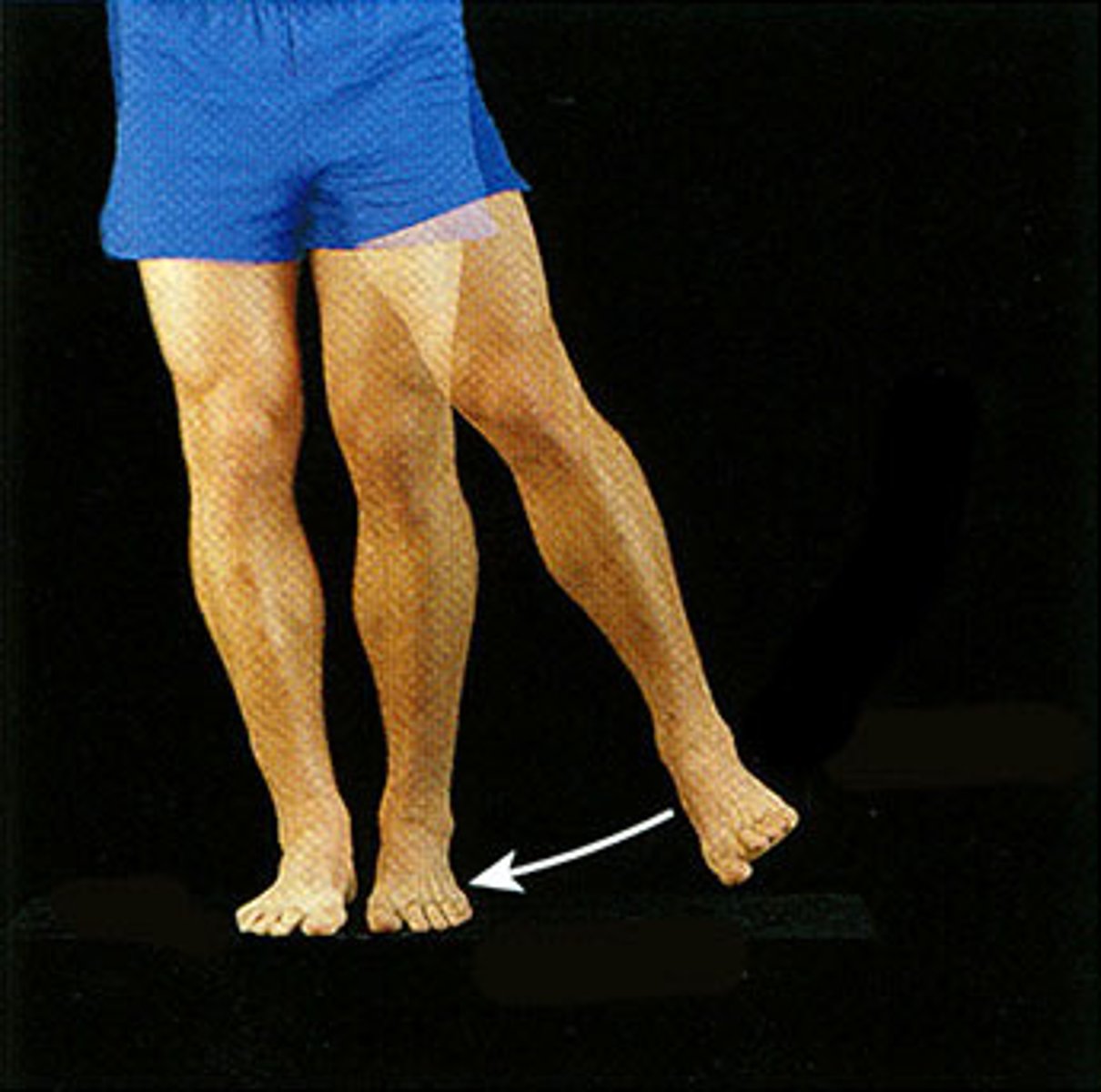 <p>Moving towards the midline</p>