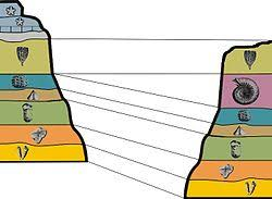<p><span style="background-color: transparent;"><span>Correlates the relative ages of strata (layers) using the fossils in them</span></span></p><ol><li><p><span style="background-color: transparent;"><span>Ex: Hipparion:&nbsp;</span></span></p><ol><li><p><span style="background-color: transparent;"><span>Came into africa from eurasia, dated between 10.5 - 12 Ma</span></span></p></li><li><p><span style="background-color: transparent;"><span>If you find Hipparion in Africa, the stratum probably dates between 12 Ma and 10.5 Ma</span></span></p></li><li><p><span style="background-color: transparent;"><span>But</span></span></p></li></ol></li></ol><ol><li><p><span style="background-color: transparent;"><span>This requires prior knowledge of the time range of the species</span></span></p></li></ol><p></p>