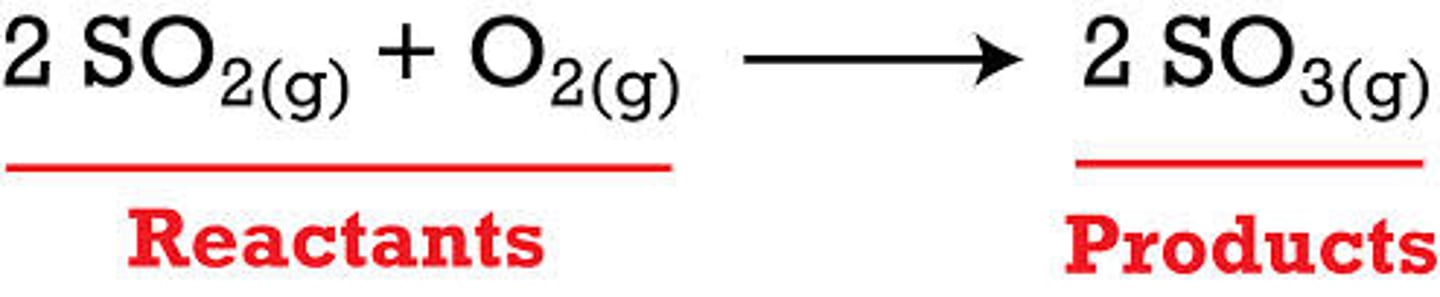 <p>the chemicals present after the reaction (right of the arrow)</p>
