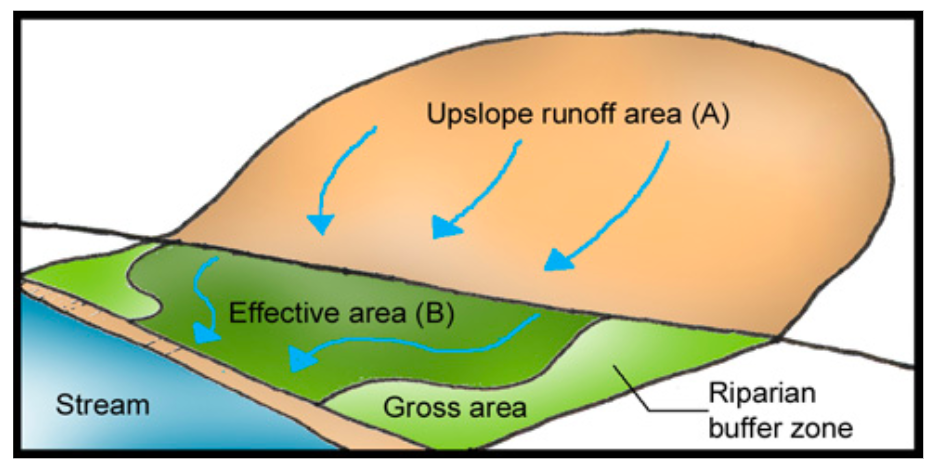 <p>Governmental, non-governmental bodies to regulate practices, planting of buffer zones to regulate runoff</p>