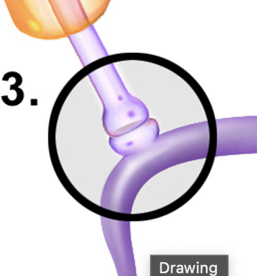<p>A type of synapse where the axon terminal of one neuron connects to the dendrite of another neuron,<u> enabling direct communication and neurotransmitter release. </u></p>
