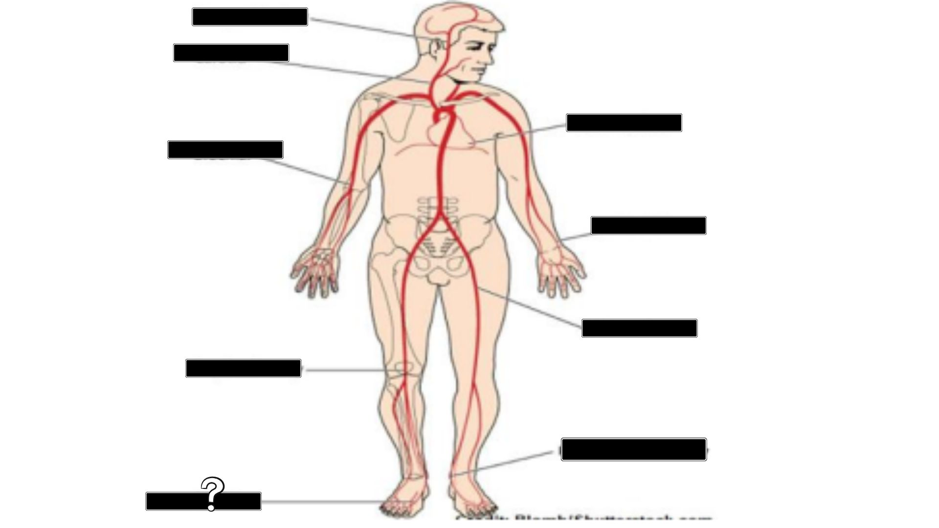 <p>what is this</p>