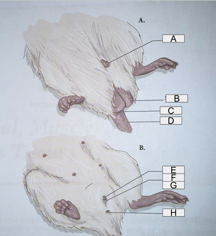 <p>What is C pointing at?</p>