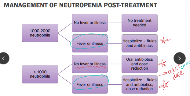 <p>Myelosuppression with chemo</p>