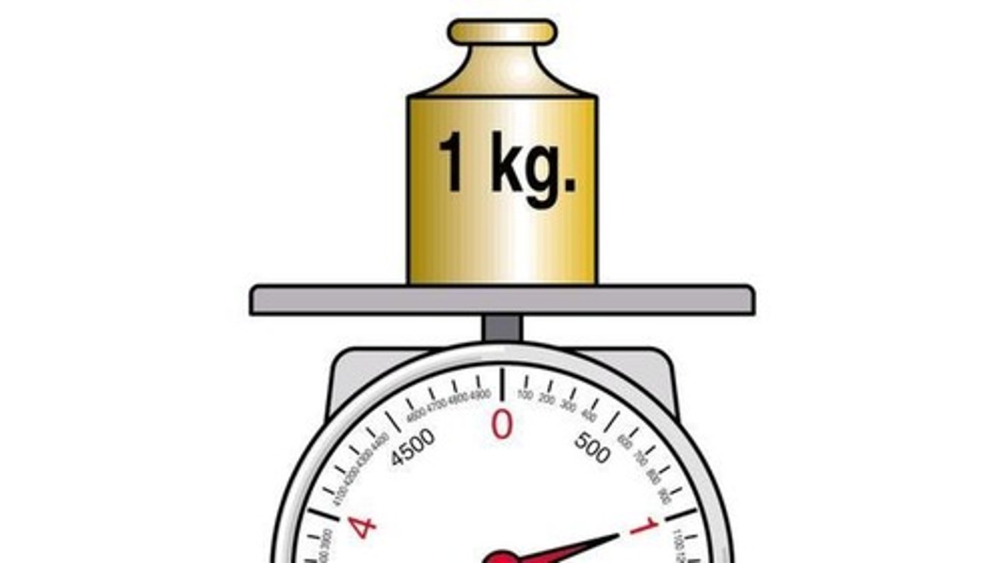 <p>a kilogram of . . .</p>
