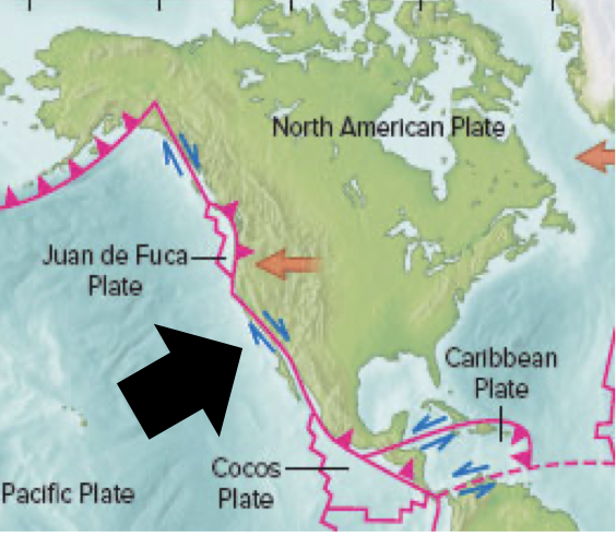 What kind of plate boundary is marked?