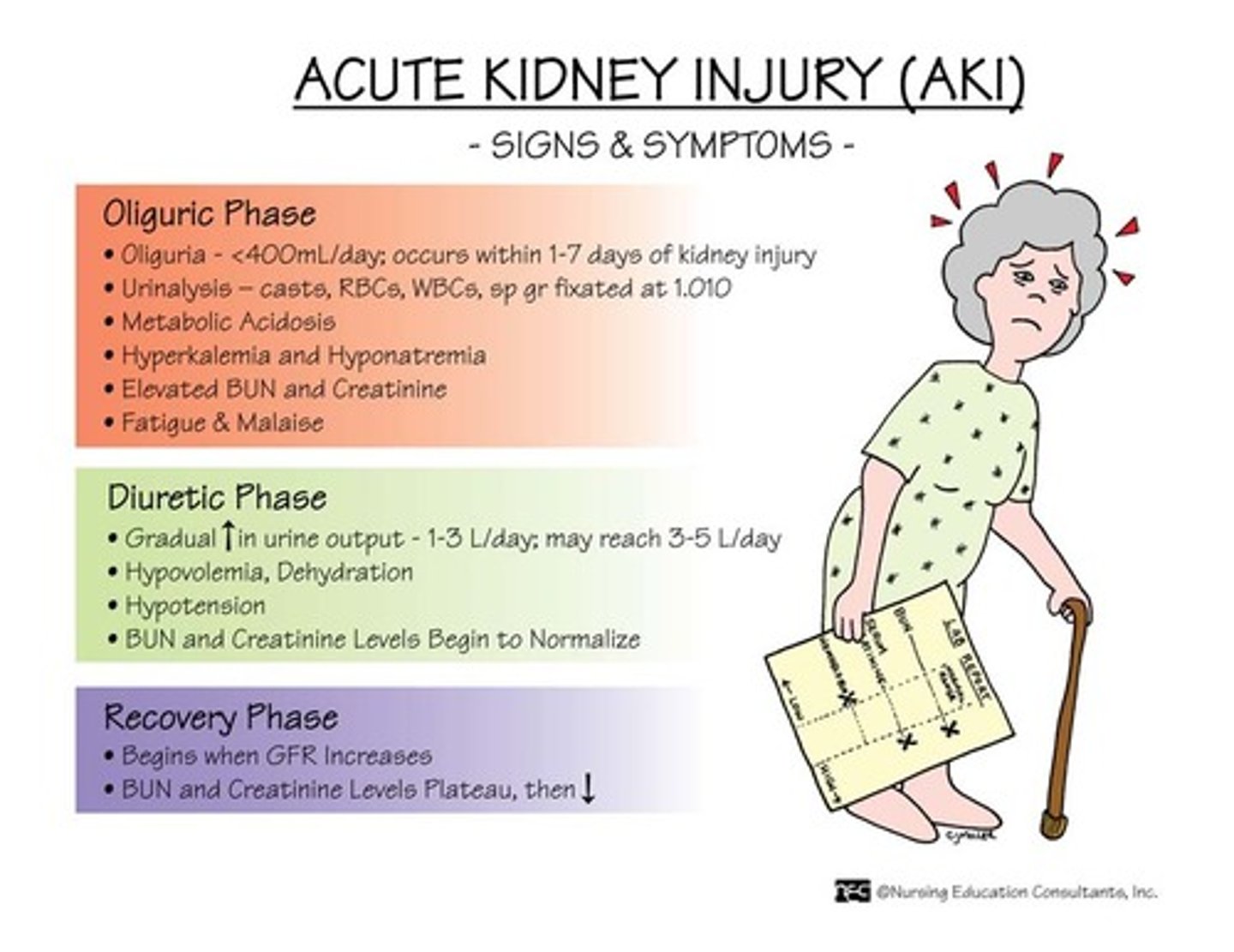 <p>1. Oliguria (Reduced Urine Output)</p><p>2. Fluid Overload/Peripheral Oedema (Kidneys cannot excrete Sodium and Water)</p><p>3. Electrolyte Disturbances (Particularly Hyperkalaemia with Arrhythmias and Palpitations)</p><p>4. Uraemic Symptoms (Accumulation of urea and toxins resulting in confusion and itching)</p>