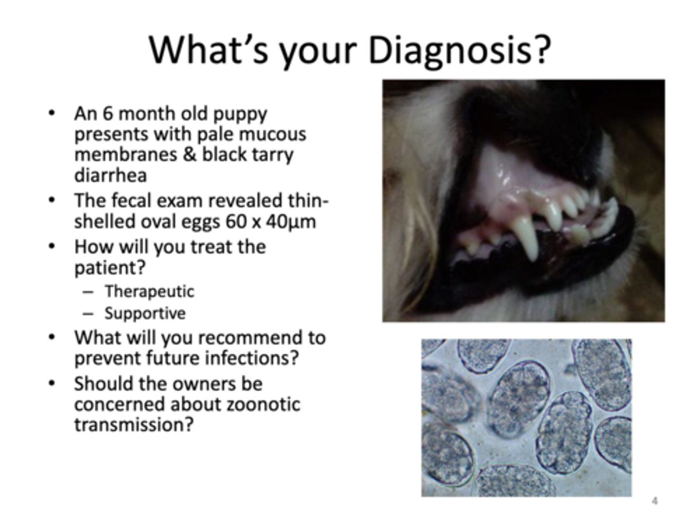 <p>What's your diagnosis?</p>