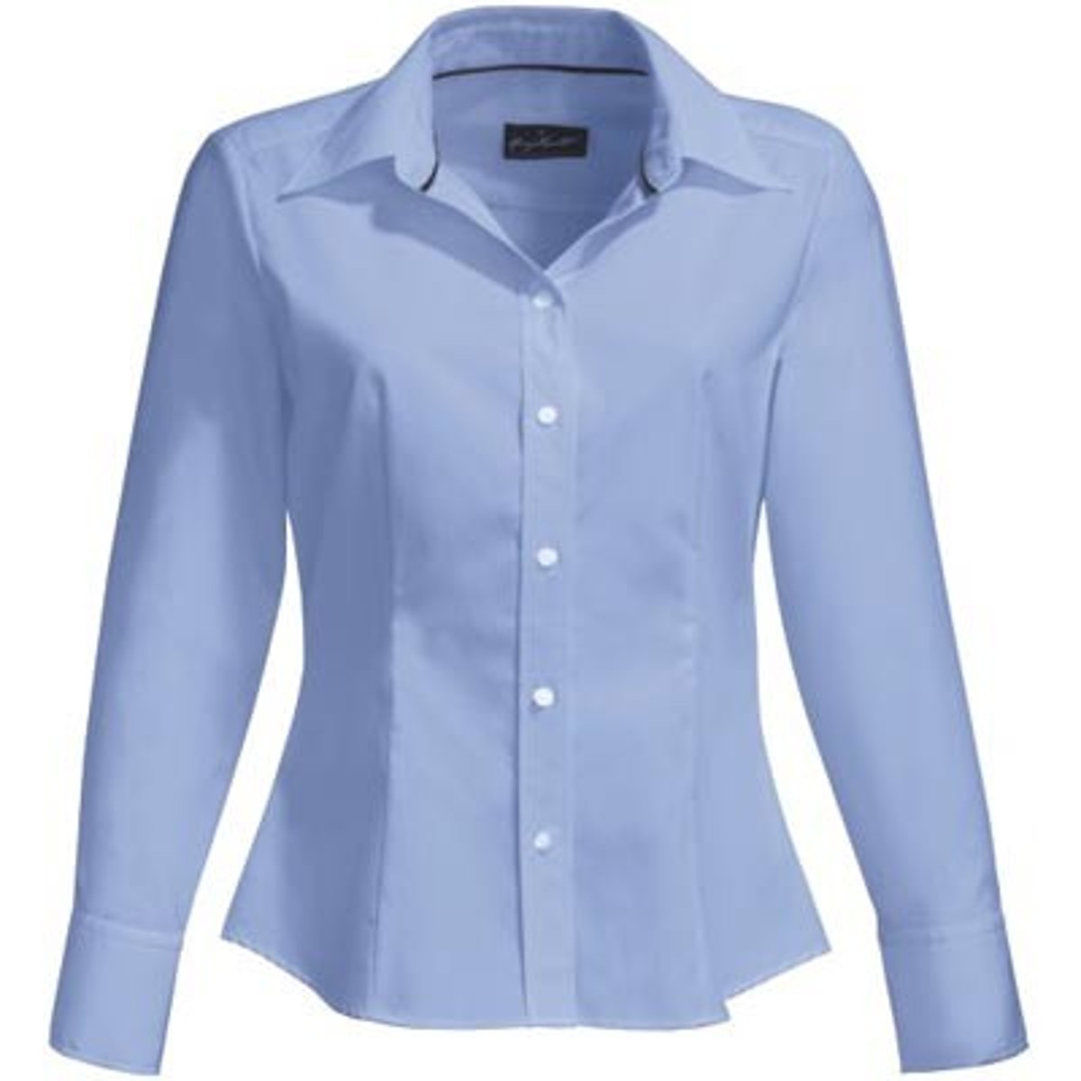 <p>The blouse</p>