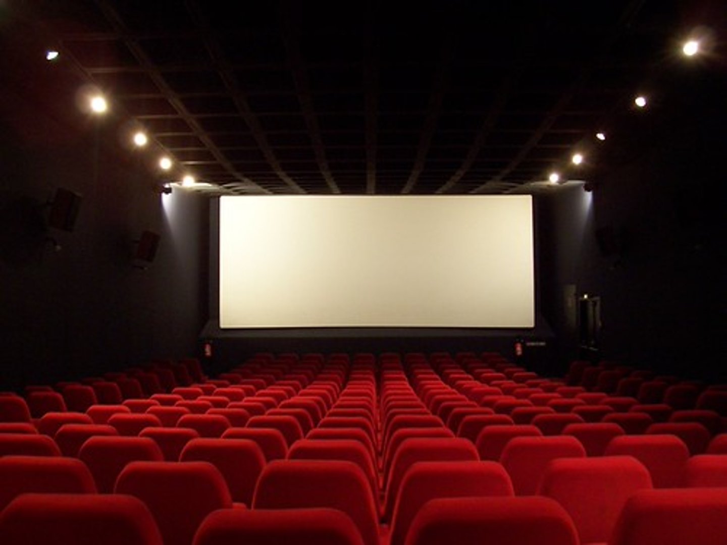 <p>movie theatre (room)</p>