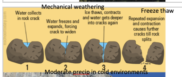 Water collects in a crack in a rock

Water will freeze and then expand, causing the crack to widen

Ice thaws then water contracts are gets deeper into the cracks

Repeated expansion and contraction causes further cracks till the rock splits 

Moderate precipitation in cold environments, with seasonal variability

      