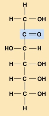 <p>What is this?</p>