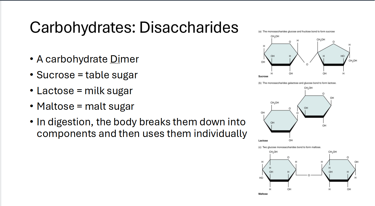 <p>A Carbohydrate Dimer<br>Sucrose = table sugar<br>Lactose = milk sugar</p><p>Maltose = Malt sugar<br>Body breaks them down into components and then uses them individually</p>