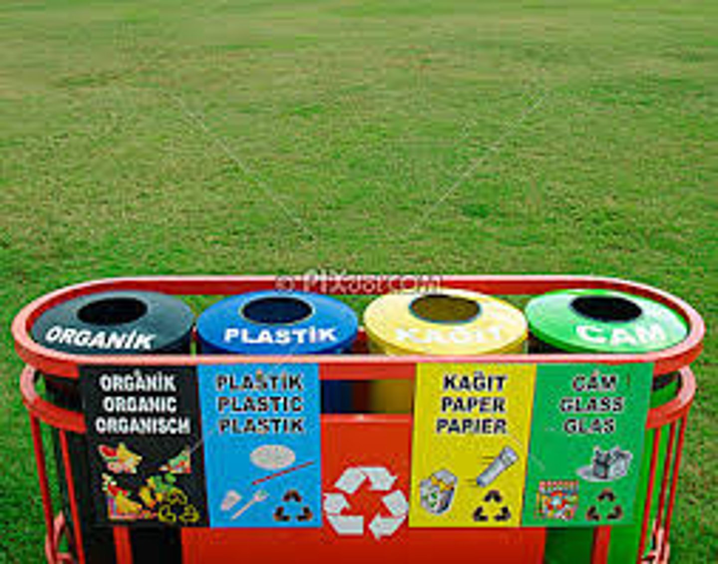 <p>I separate the rubbish</p>