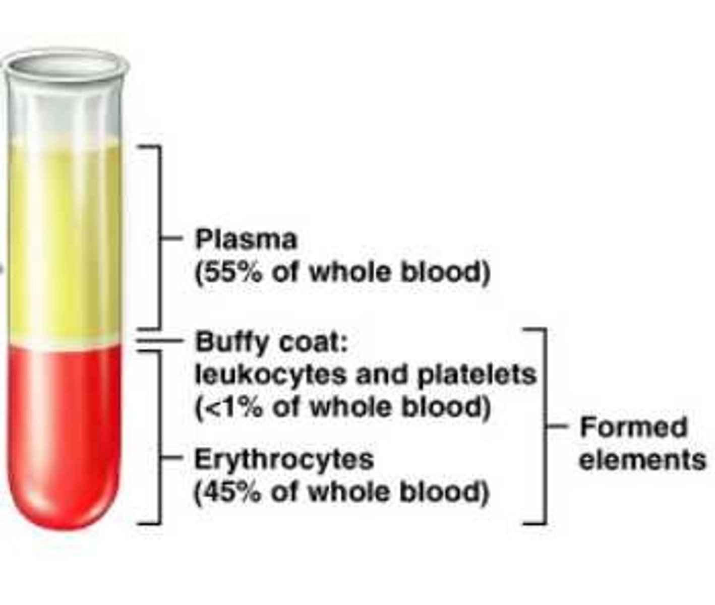 <p>refers to the mixture of both plasma and formed elements</p>