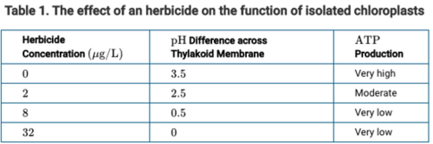 <p>ATP synthase activity depends on a proton gradient across the thylakoid membrane.</p>