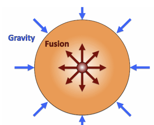 <p>Nuclear fusion occurs in the sun's core, where hydrogen atoms collide and fuse into helium, releasing vast amounts of energy. This produces an outward energy which combat the huge gravitation force that compresses the sun. When it runs out of hydrogen fuels the force of gravity will continue to push until the sun implodes.</p>