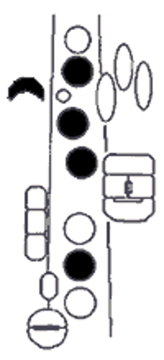 knowt flashcard image