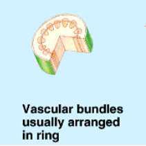 <p>What is this structure of? </p>