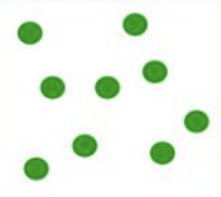<p>position of each individual is not determined or influenced by the positions of the other members of the population, relatively uncommon dispersion </p>