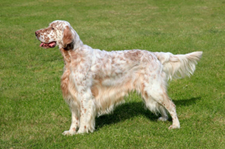 <p>name and group </p>