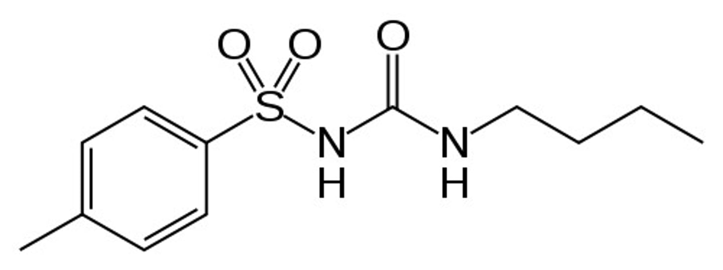 <p>1st gen sulfonylurea</p>