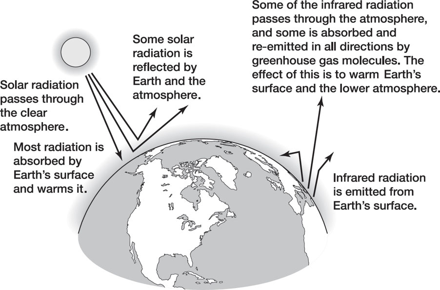 <p><span data-name="small_blue_diamond" data-type="emoji">🔹</span> Sunlight <strong>strikes Earth's surface</strong><br><span data-name="small_blue_diamond" data-type="emoji">🔹</span> Some energy is <strong>reflected as infrared radiation (heat)</strong><br><span data-name="small_blue_diamond" data-type="emoji">🔹</span> <strong>Greenhouse gases absorb infrared radiation</strong> and <strong>trap heat</strong> in the atmosphere</p><p><span data-name="earth_africa" data-type="emoji">🌍</span> <strong>Result</strong> → Warmer Earth, maintaining temperatures suitable for life</p>