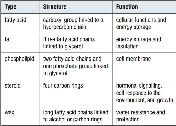 <p> <strong>fatty acids + alcohols or C rings that are long</strong></p><p>- hydrophobic, firm but pliable</p><p>- Waterproof feathers, conserves water in plants</p><p>- i.e. the waterproof coating of cherries or in honeycombs</p>