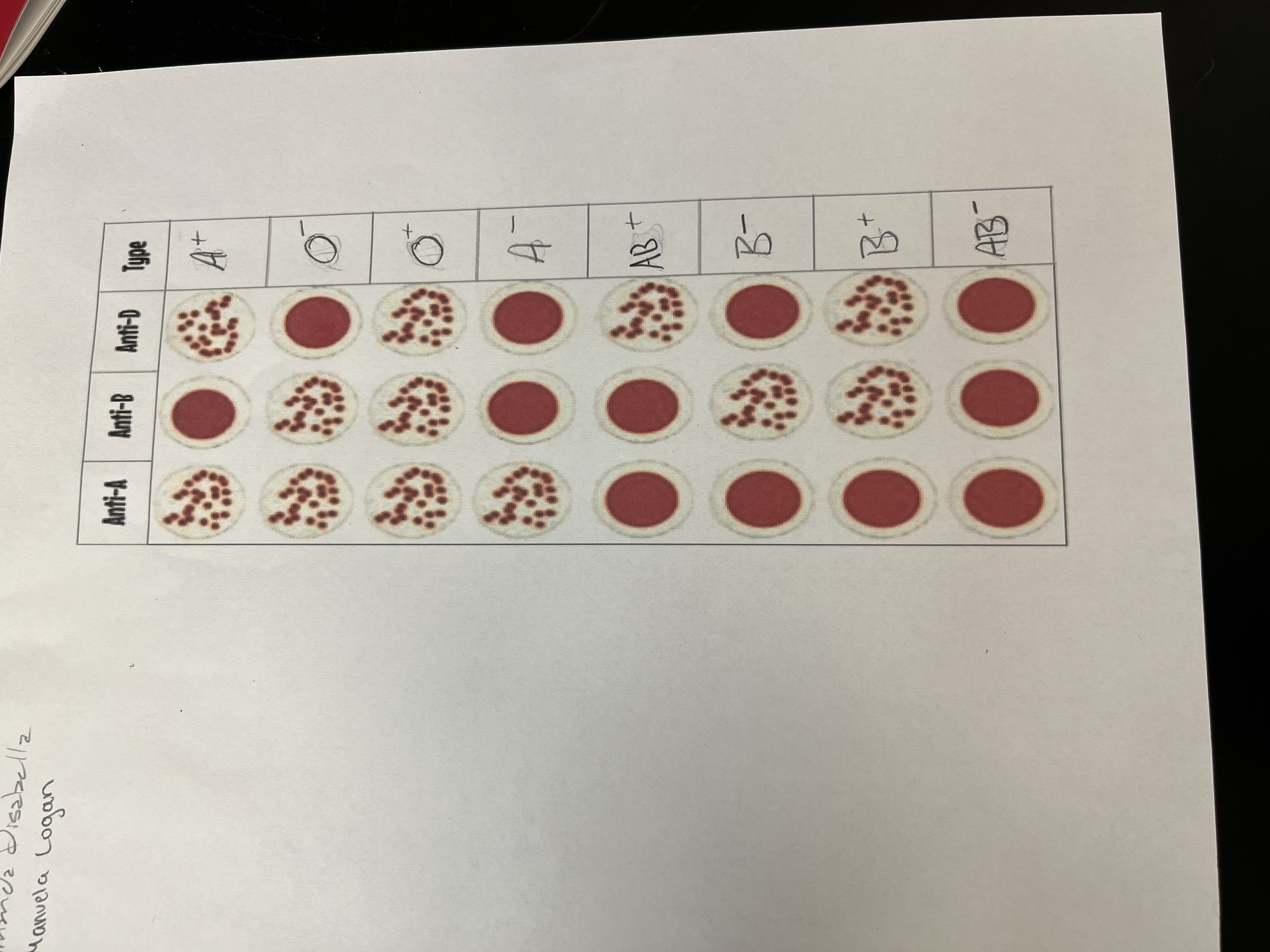 <ul><li><p>Agglutination - Clumps in blood</p><ul><li><p>Ex. Anti B-antibody will not bind, B-antibody/B-antigen will bind</p></li></ul></li><li><p>Negative = Rh anti = Mixed = Rh present</p></li><li><p>Positive = No Rh anti = Clumped = Rh not present</p></li><li><p>Type D = Rhesus</p></li><li><p>Blood Types:</p><ul><li><p>Type A: Anti B-antibody, can receive blood from type A and O</p></li><li><p>Type B: Anti A-antibody, can receive blood from Type B and O</p></li><li><p>Type AB (universal accepter): Anti A and B, can receive blood from type A, B, AB, and O</p></li><li><p>Type O (universal donor): Zero antigens, Anti A and B, can receive blood from type O only</p></li></ul></li></ul><p></p>