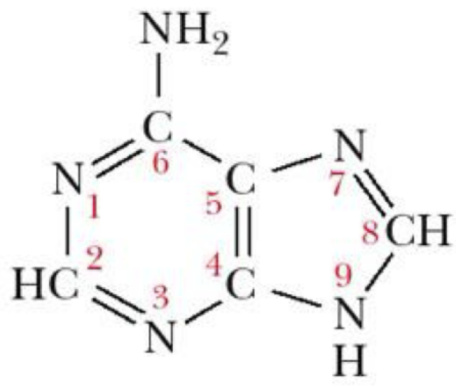 <p>what is this structure?</p>