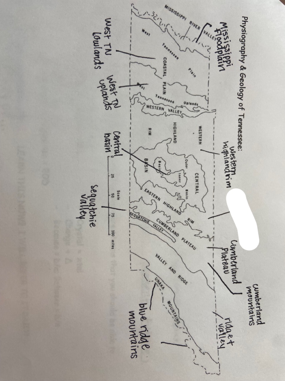 which one is marked out?