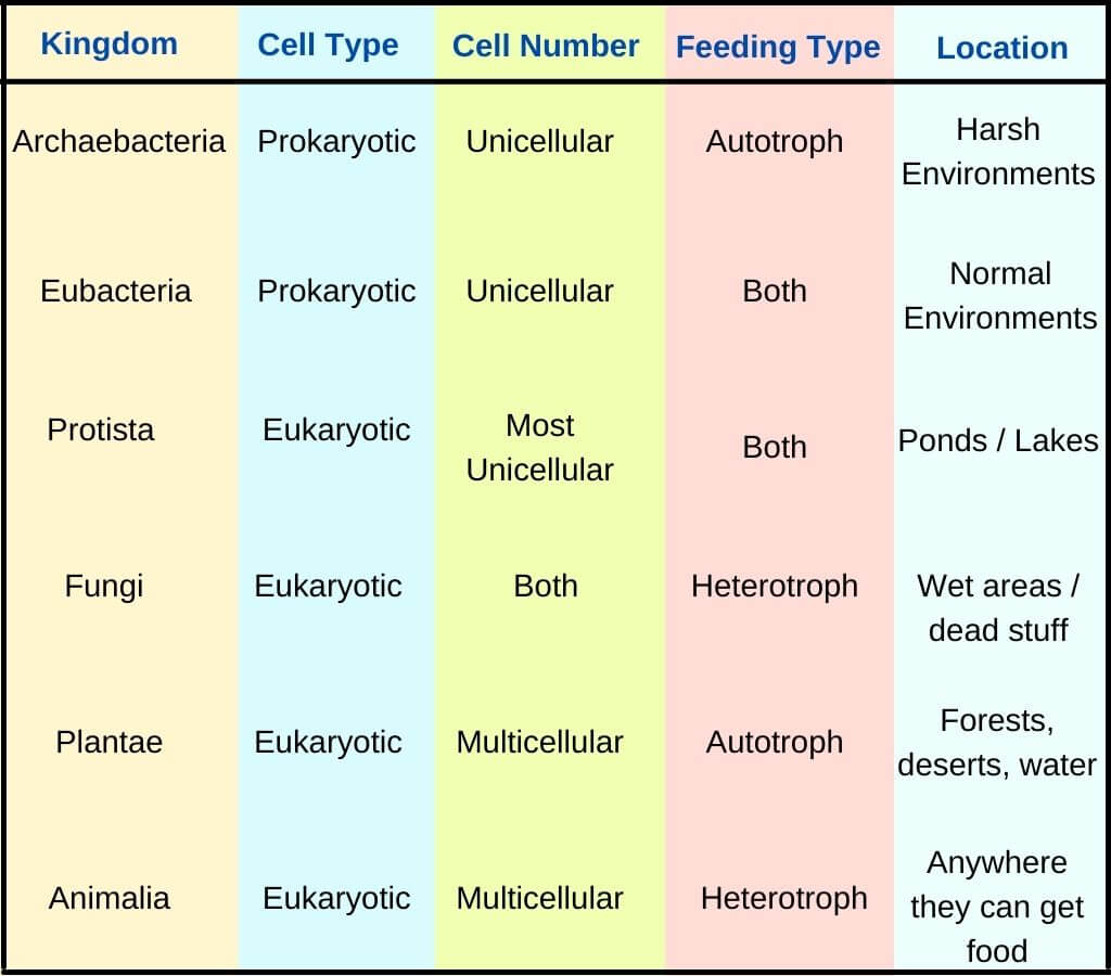 
1. Archaebacteria: bacteria that live in extreme environments
2. Eubacteria: common bacteria
3. Protista: Unicellular or multicellular organisms that do not belong in the other kingdoms
4. Fungi: Mushrooms, yeasts, molds
5. Animalia: animals
6. Plantae: plants