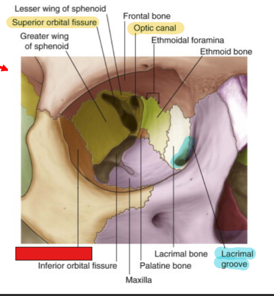 <p>fill in the red box:</p>