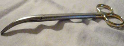 <p>Curved Blunt/Blunt Scissors</p>