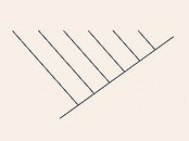 <p>Is a diagram to show the evolutionary relationships between different species or groups of organisms. </p><p>-hypothetical </p>