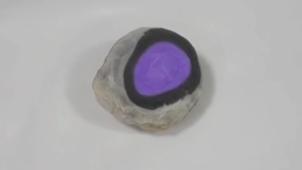<p>cornea</p>