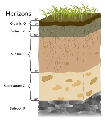 <p>from top to bottom: organic material, leached sediment mixed with organics, leaching but no mixing with organic, ions and clay from mixed organics accumulate, and weathered rock with no leaching&nbsp;</p>