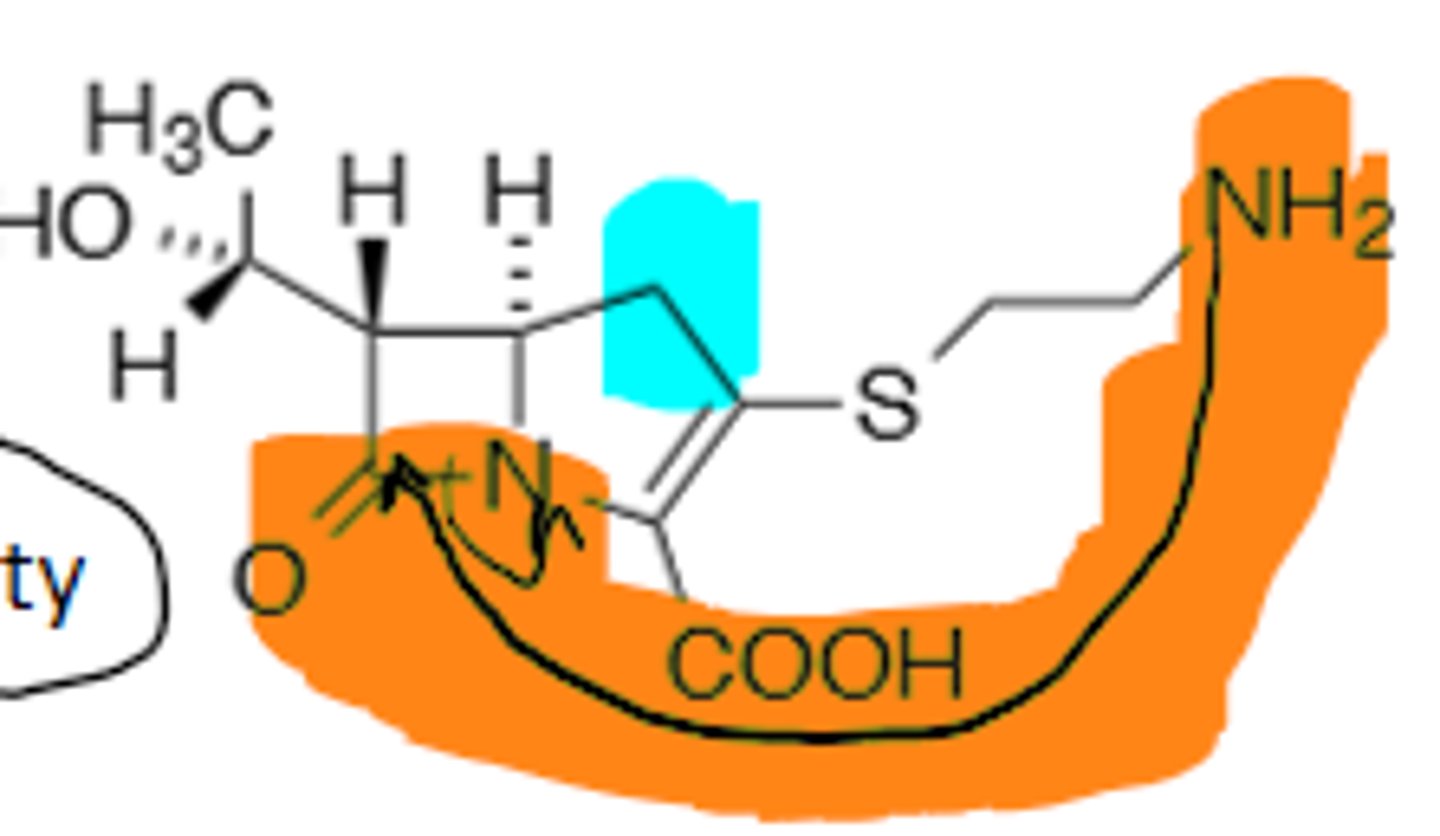 <p>Origin of Imipenem, too reactive, as the primary amino group attacks the B-Lactam Ring intermolecularly, inactivates itself from therapeutic use.</p>