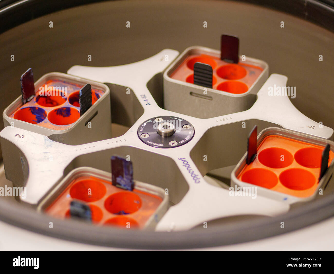 <p>A centrifuge where the cups holding the tubes are in a vertical position at rest but assume a horizontal position when the centrifuge revolves. It is also known as a <strong>swinging bucket centrifuge.</strong></p>