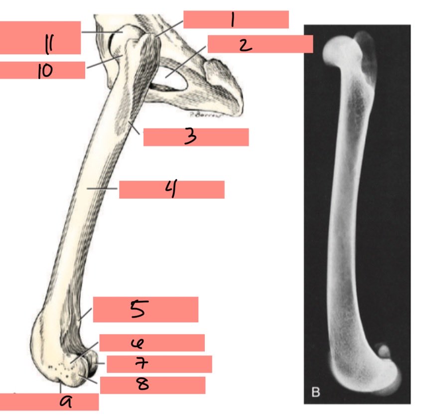 <p>6</p>