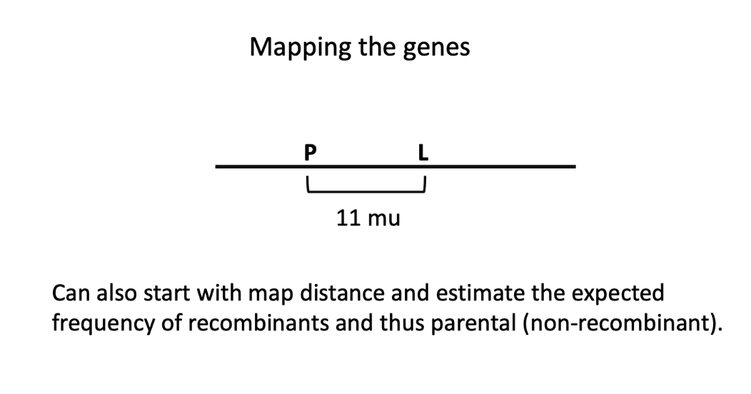 <img src="https://knowt-user-attachments.s3.amazonaws.com/aa9e5178-5d9f-4c30-a7f8-71dde4305c35.png" data-width="100%" data-align="center"><p></p>